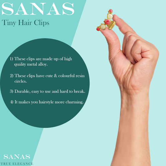 Sanas Multicolor Small Metal Clip - 4Pcs