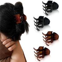 Sanas Six Teeth Hair Claws - 4Pcs